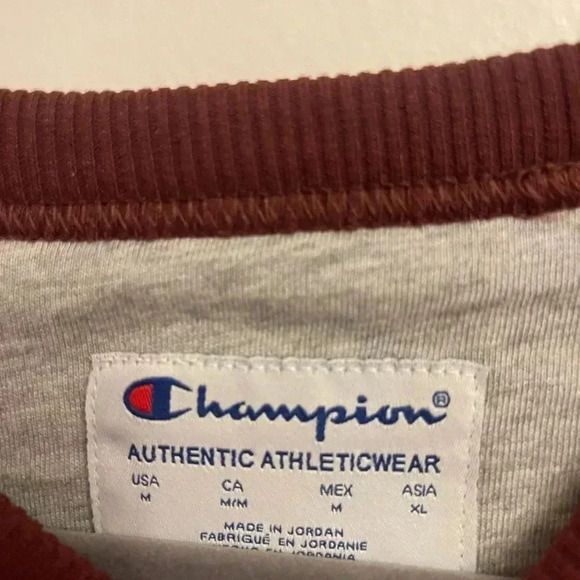 NWT Champion sweatshirt Medium - Picture 3 of 3